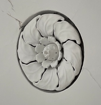 Ceiling rose